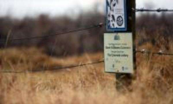 Scouting Report Scouting Report